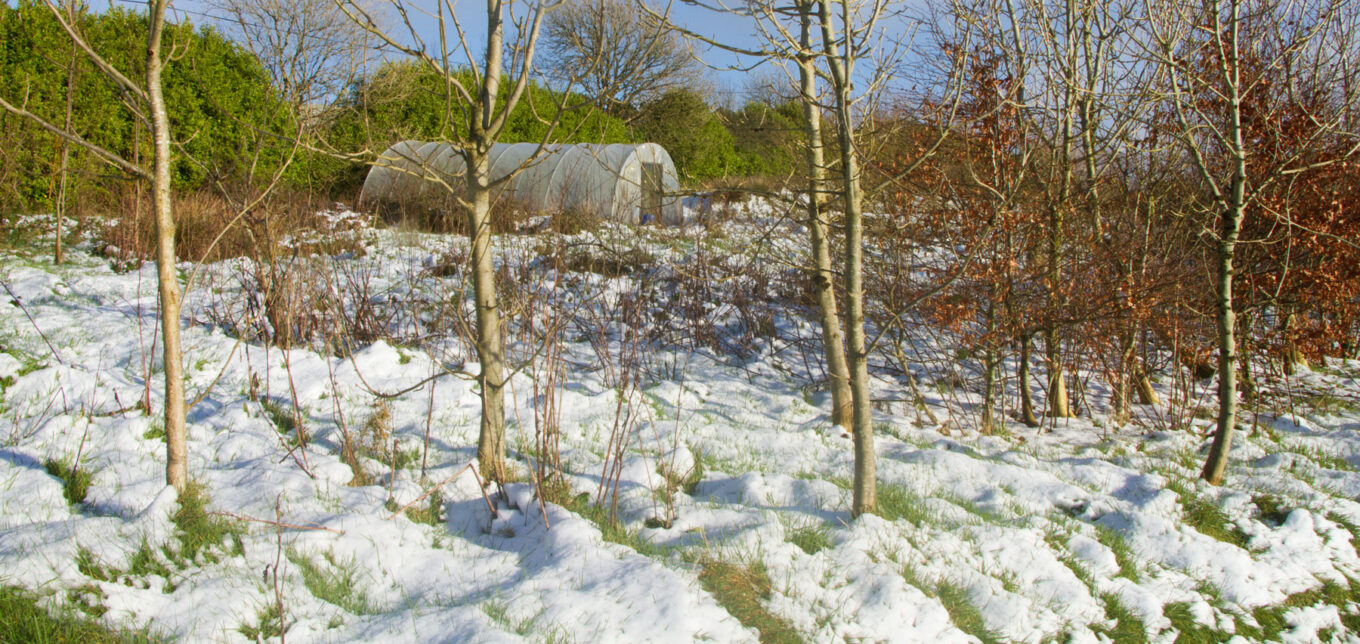 Aluminum Hoop House Piping for Season Extension – Mother Earth News - Vimarsana News